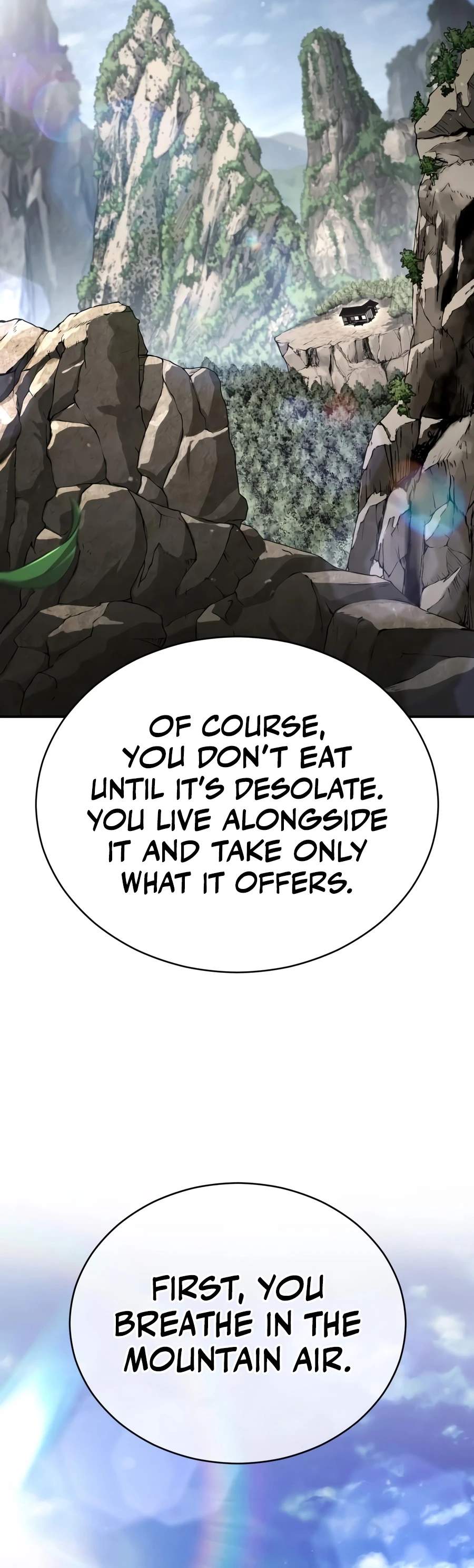 Reincarnation of the Fist King Chapter 63 page 15