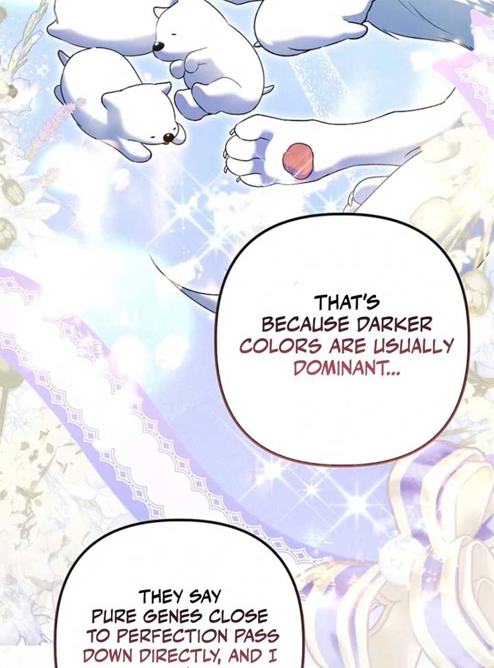 Rejecting The Perfect Marriage Chapter 34 page 63