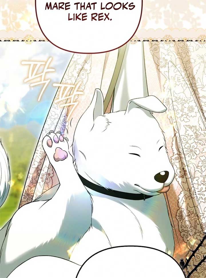 Rejecting The Perfect Marriage Chapter 34 page 78
