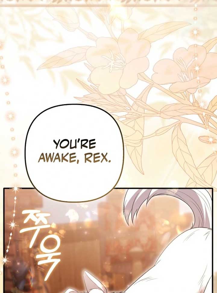 Rejecting The Perfect Marriage Chapter 35 page 72