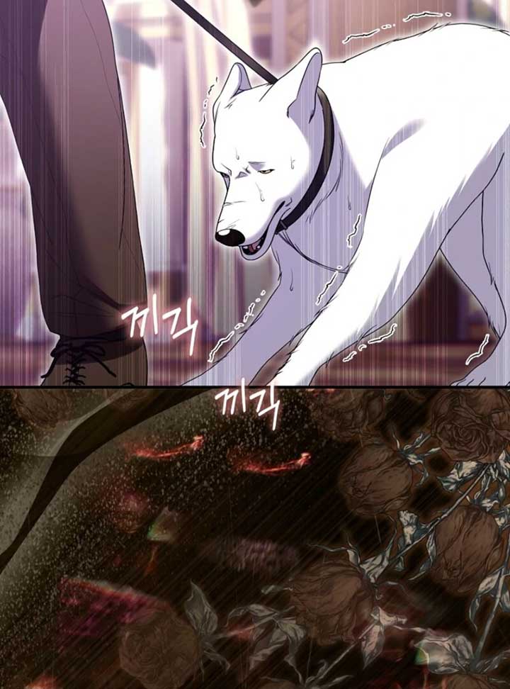 Rejecting The Perfect Marriage Chapter 36 page 28