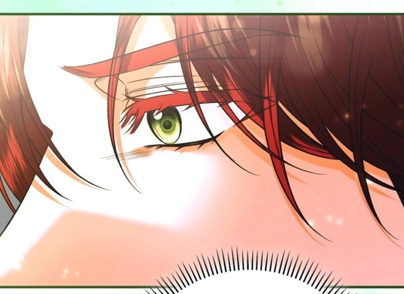 Rejecting The Perfect Marriage Chapter 39 page 67