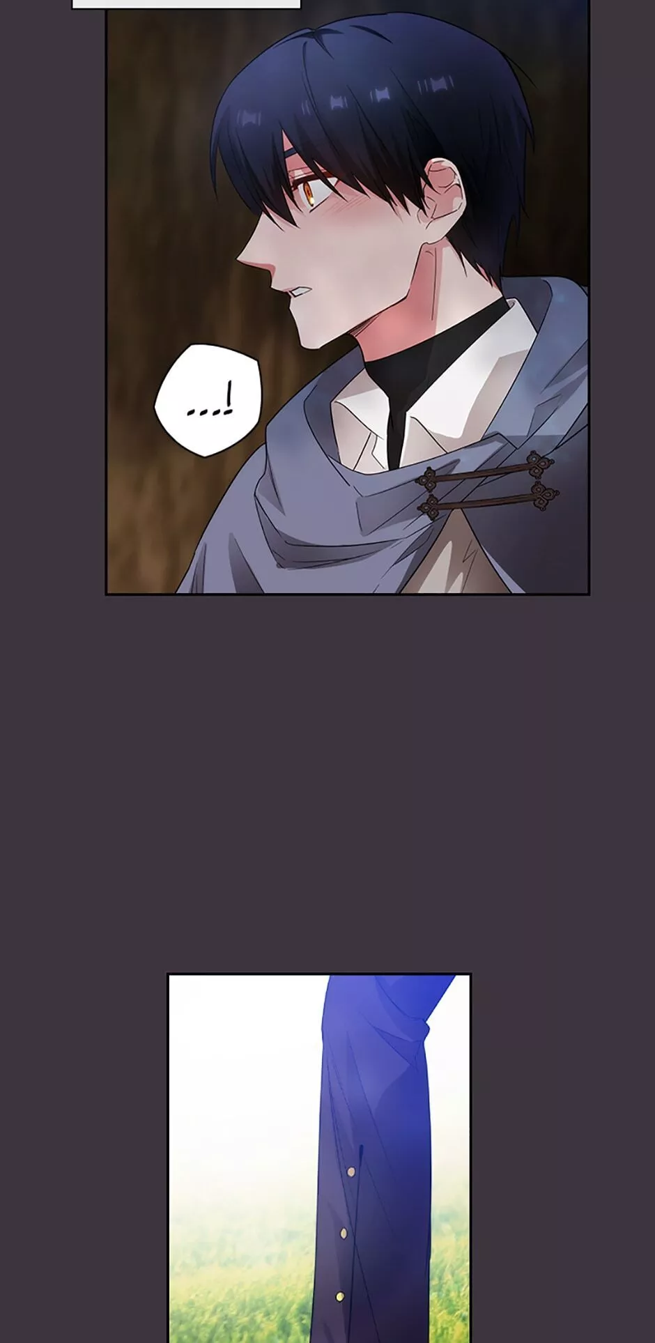 Reminiscence Adonis Chapter 172 page 31