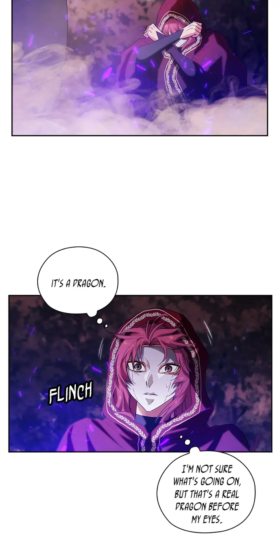 Reminiscence Adonis Chapter 218 page 29