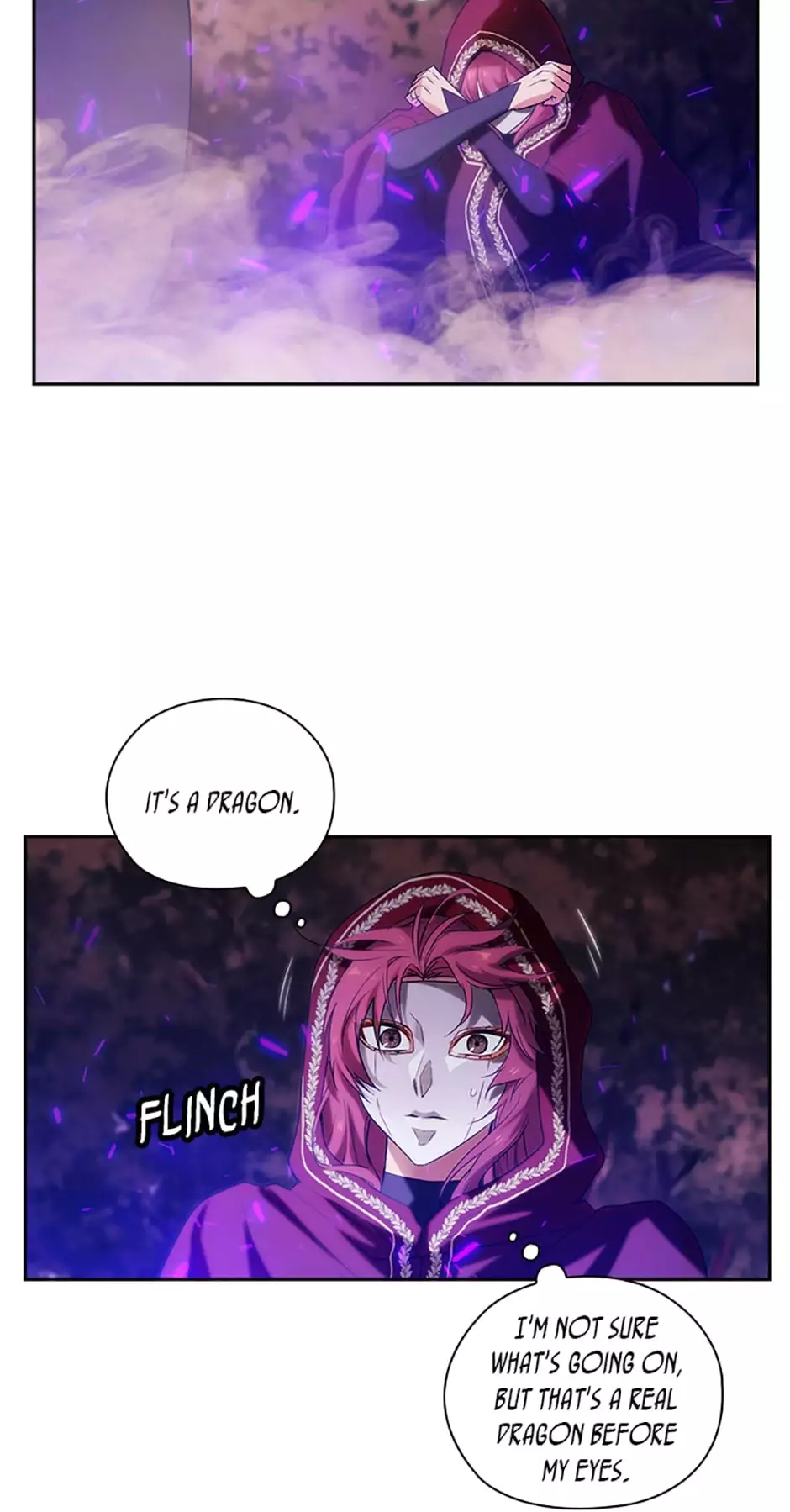 Reminiscence Adonis Chapter 219 page 29