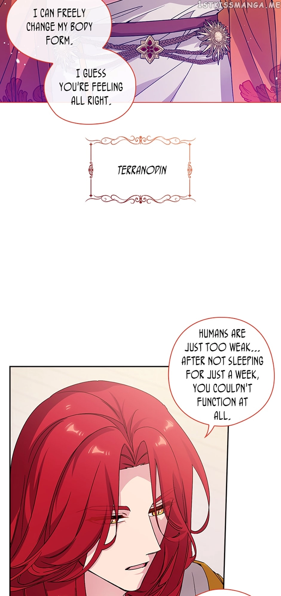 Reminiscence Adonis Chapter 240 page 8