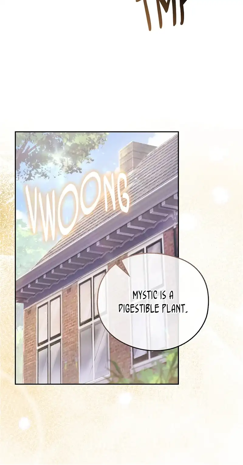 Reminiscence Adonis Chapter 251 page 49