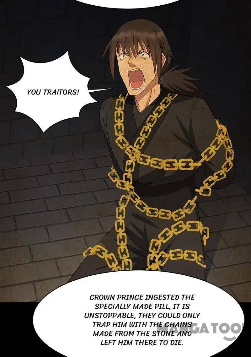 Revenge of a Fierce Princess Chapter 250 page 17