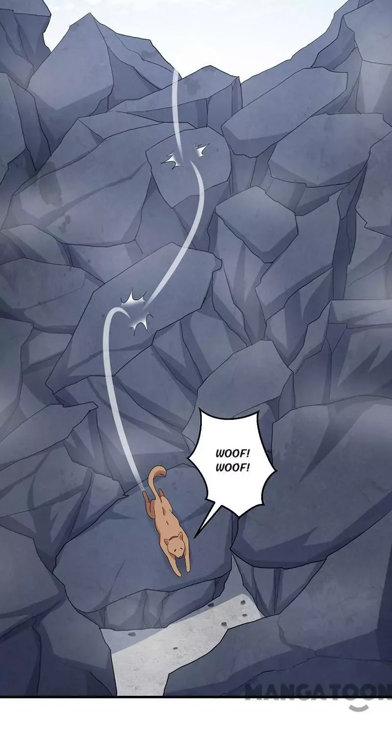 Revenge of a Fierce Princess Chapter 253 page 17