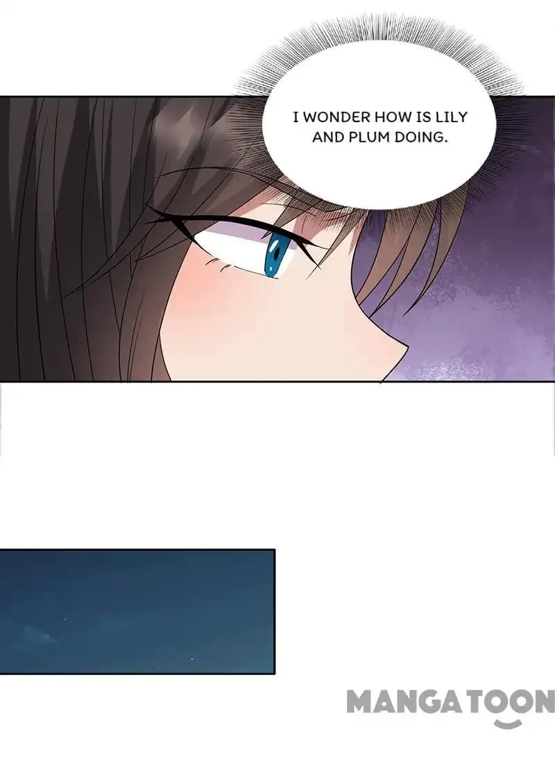 Revenge of a Fierce Princess Chapter 263 page 11
