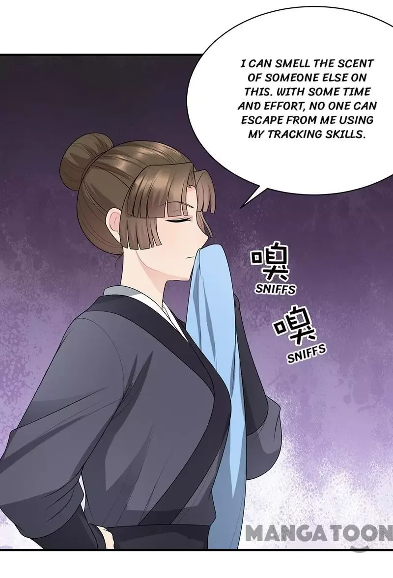 Revenge of a Fierce Princess Chapter 274 page 17