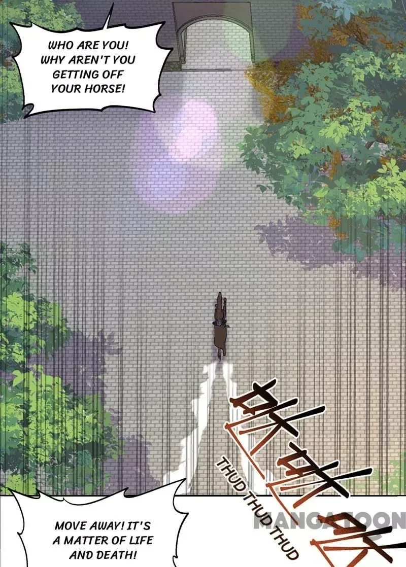 Revenge of a Fierce Princess Chapter 344 page 24