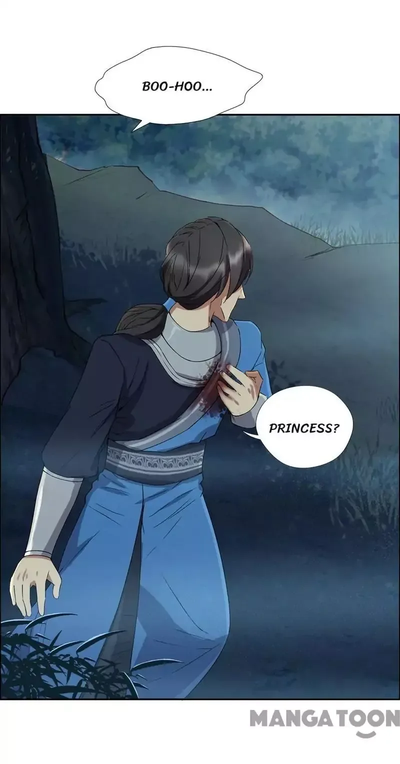 Revenge of a Fierce Princess Chapter 58 page 4