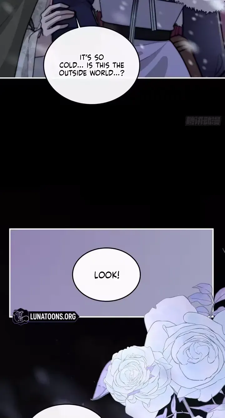 Rosemary’s Fairy Tales Chapter 52 page 37