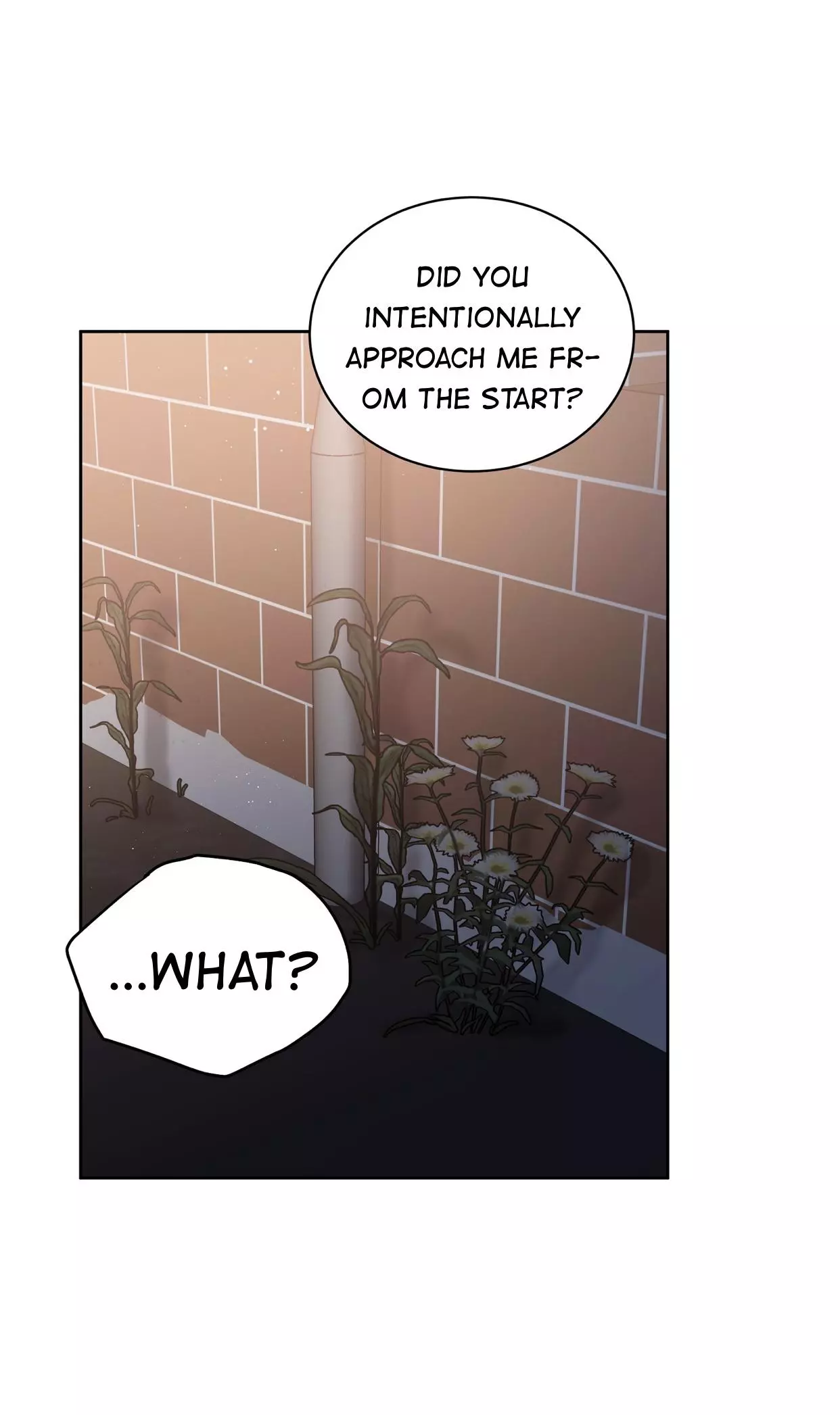 Roses and Champagne Chapter 39 page 26