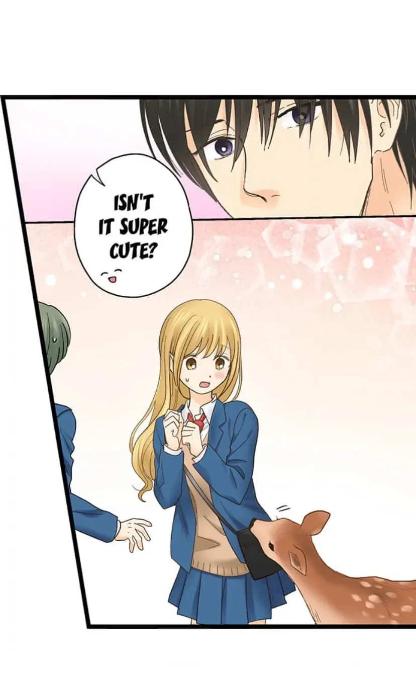 RUNNING A LOVE HOTEL WITH MY MATH TEACHER Chapter 209 page 24