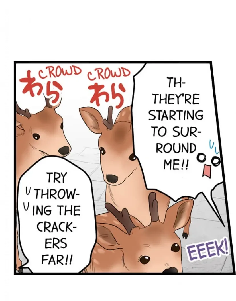 RUNNING A LOVE HOTEL WITH MY MATH TEACHER Chapter 209 page 13