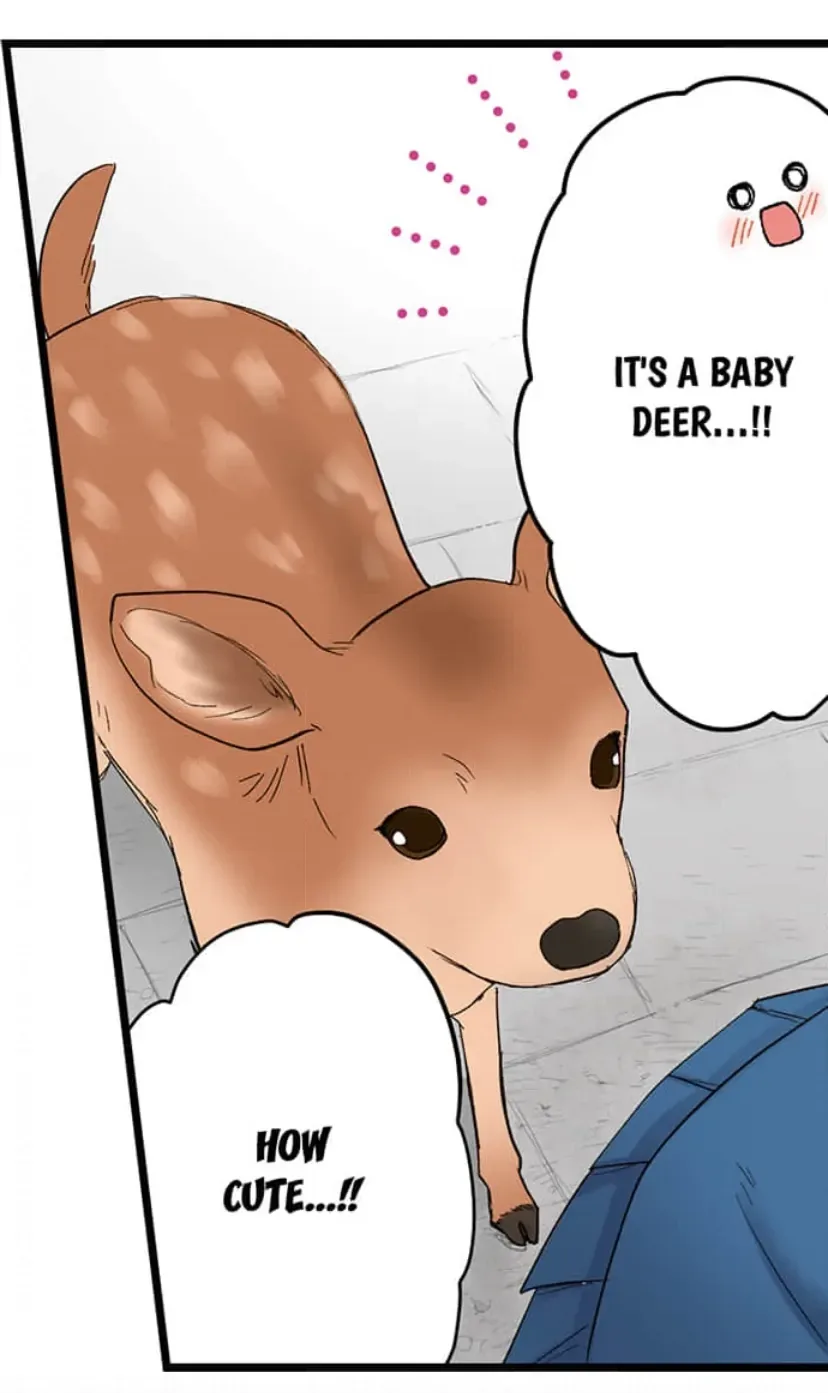 RUNNING A LOVE HOTEL WITH MY MATH TEACHER Chapter 209 page 10