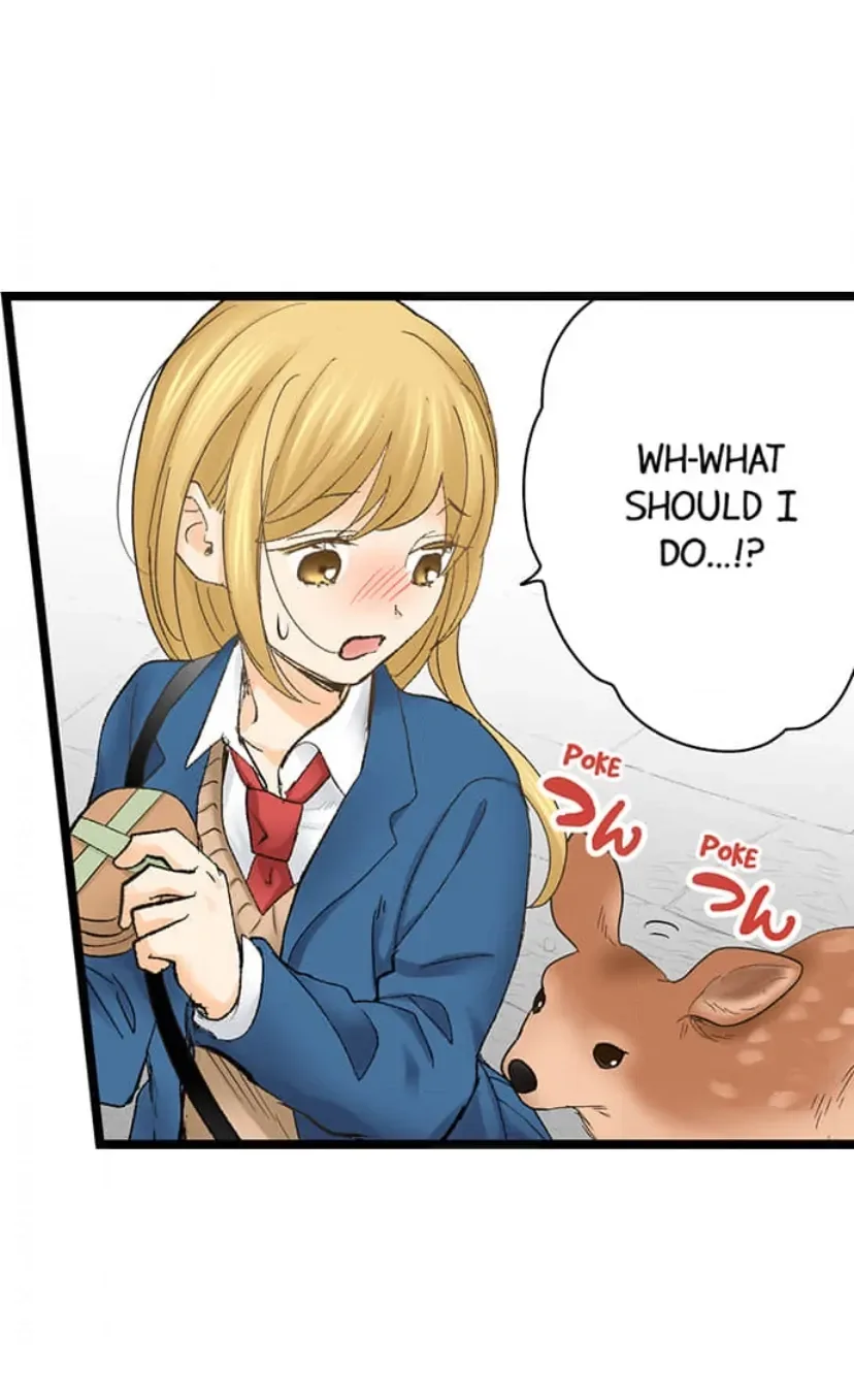 RUNNING A LOVE HOTEL WITH MY MATH TEACHER Chapter 209 page 12