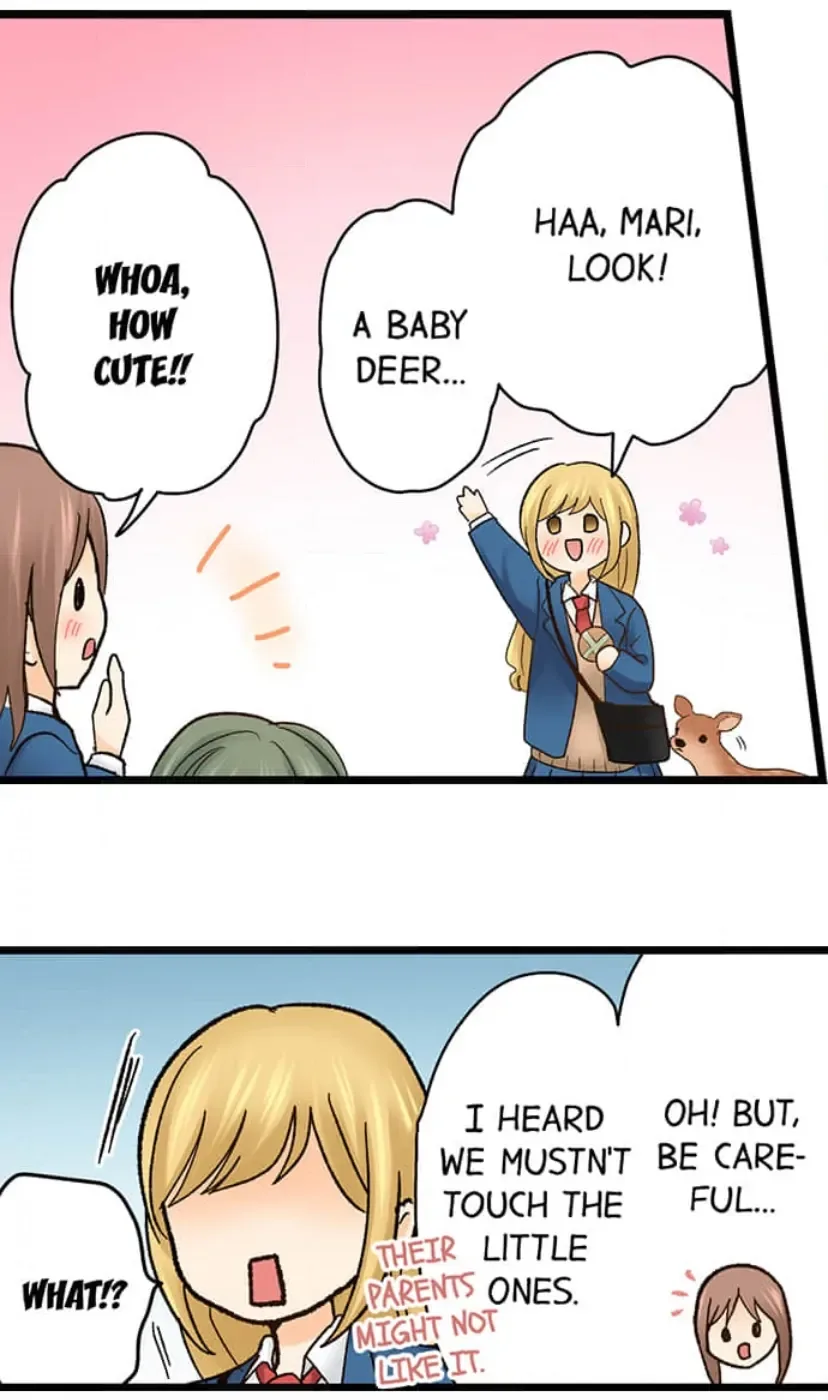 RUNNING A LOVE HOTEL WITH MY MATH TEACHER Chapter 209 page 11