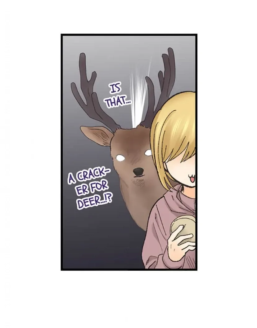 RUNNING A LOVE HOTEL WITH MY MATH TEACHER Chapter 212 page 14