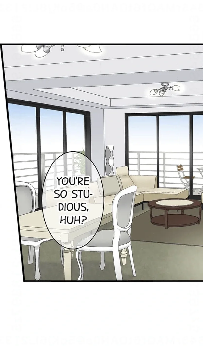 RUNNING A LOVE HOTEL WITH MY MATH TEACHER Chapter 228 page 11