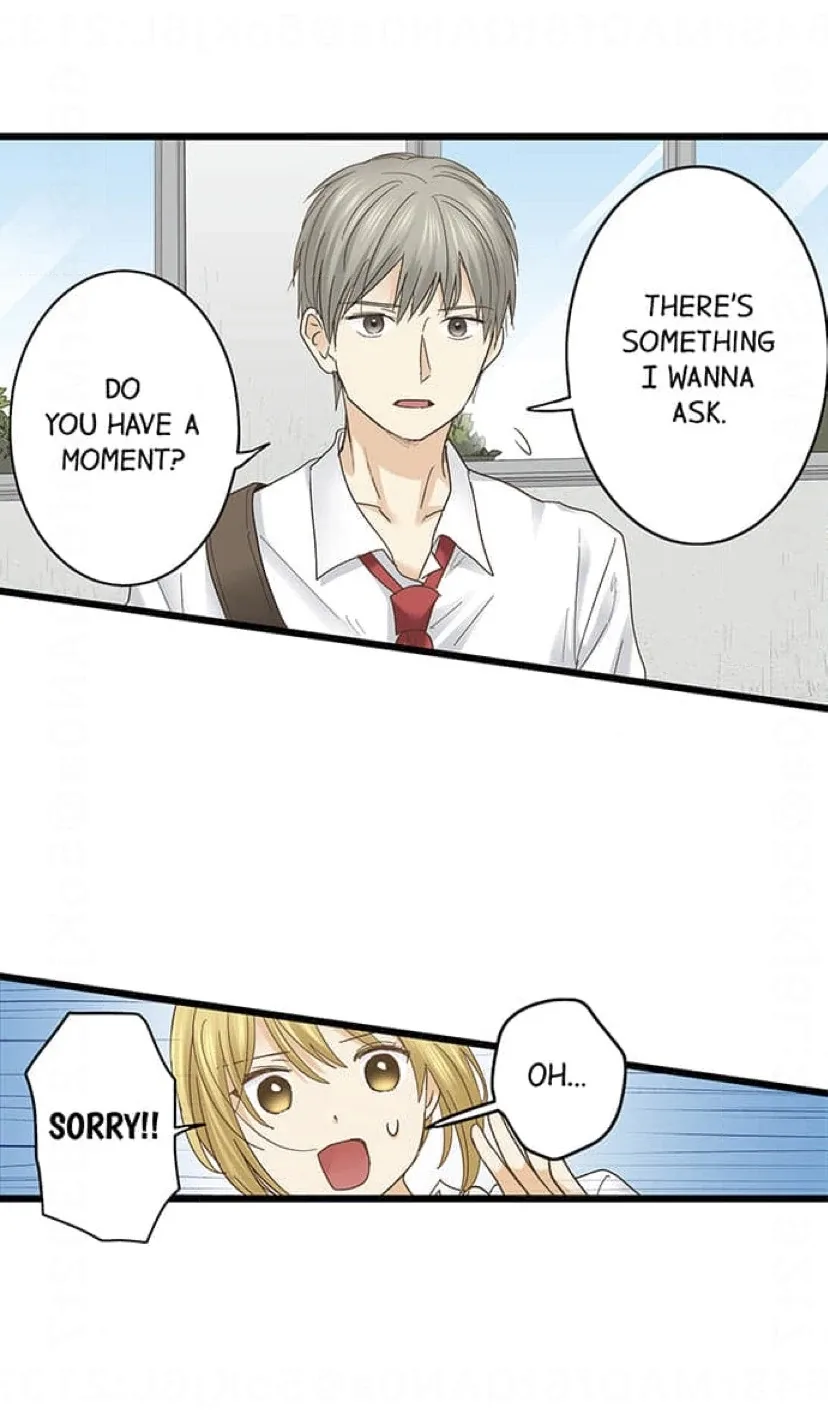 RUNNING A LOVE HOTEL WITH MY MATH TEACHER Chapter 229 page 4