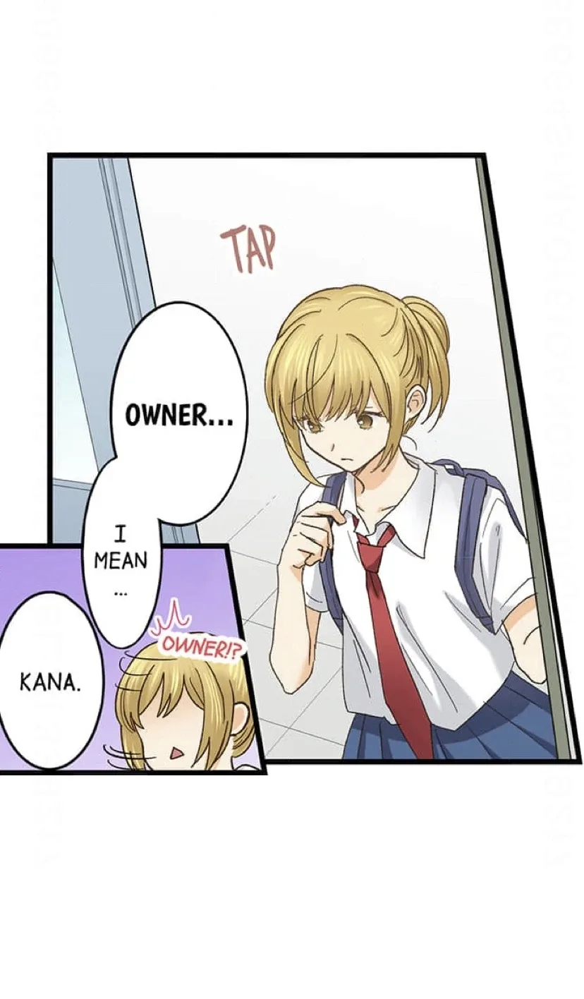 RUNNING A LOVE HOTEL WITH MY MATH TEACHER Chapter 229 page 3