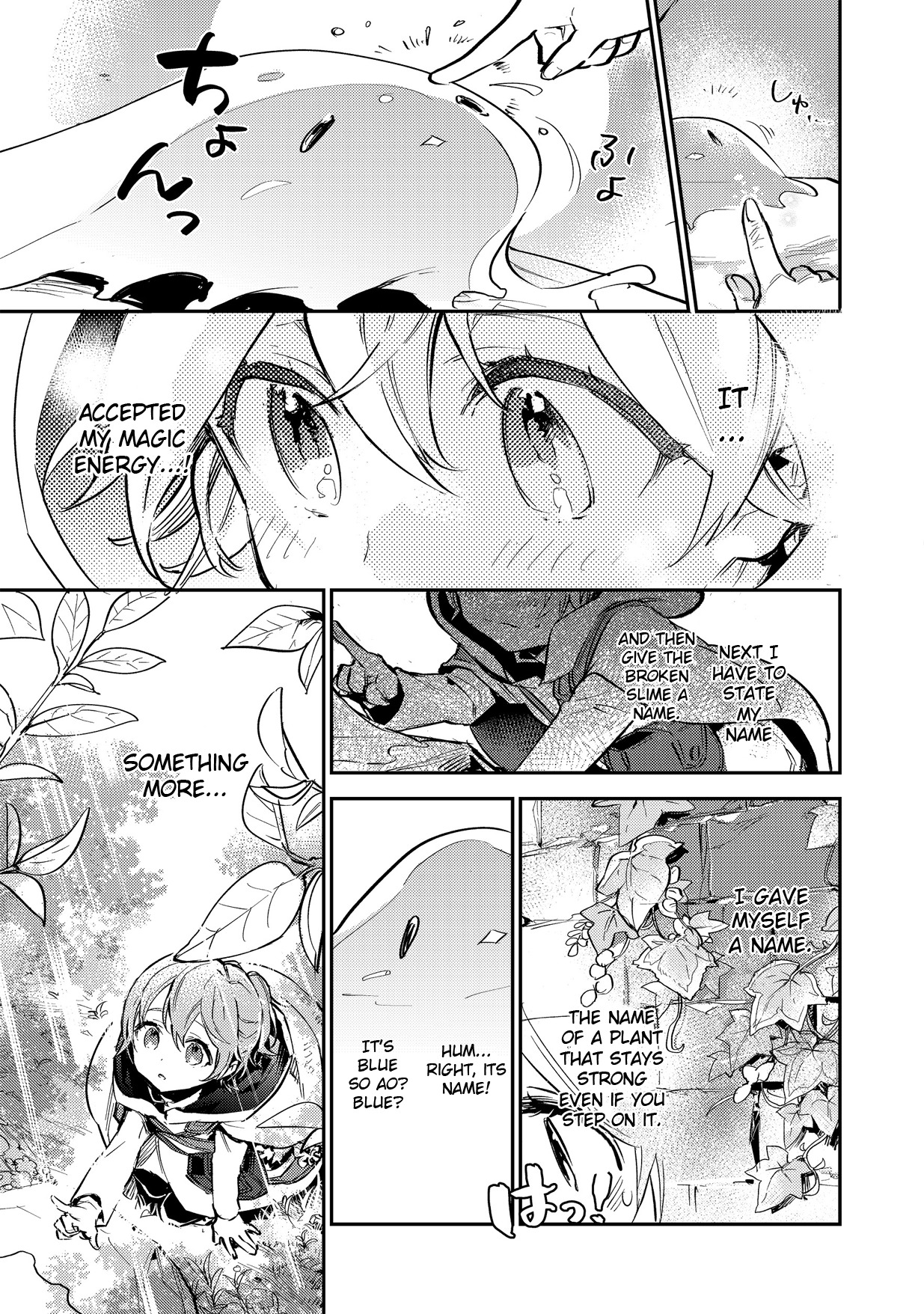 Saijaku Tamer wa Gomi Hiroi no Tabi o Hajimemashita. Chapter 2.1 page 17