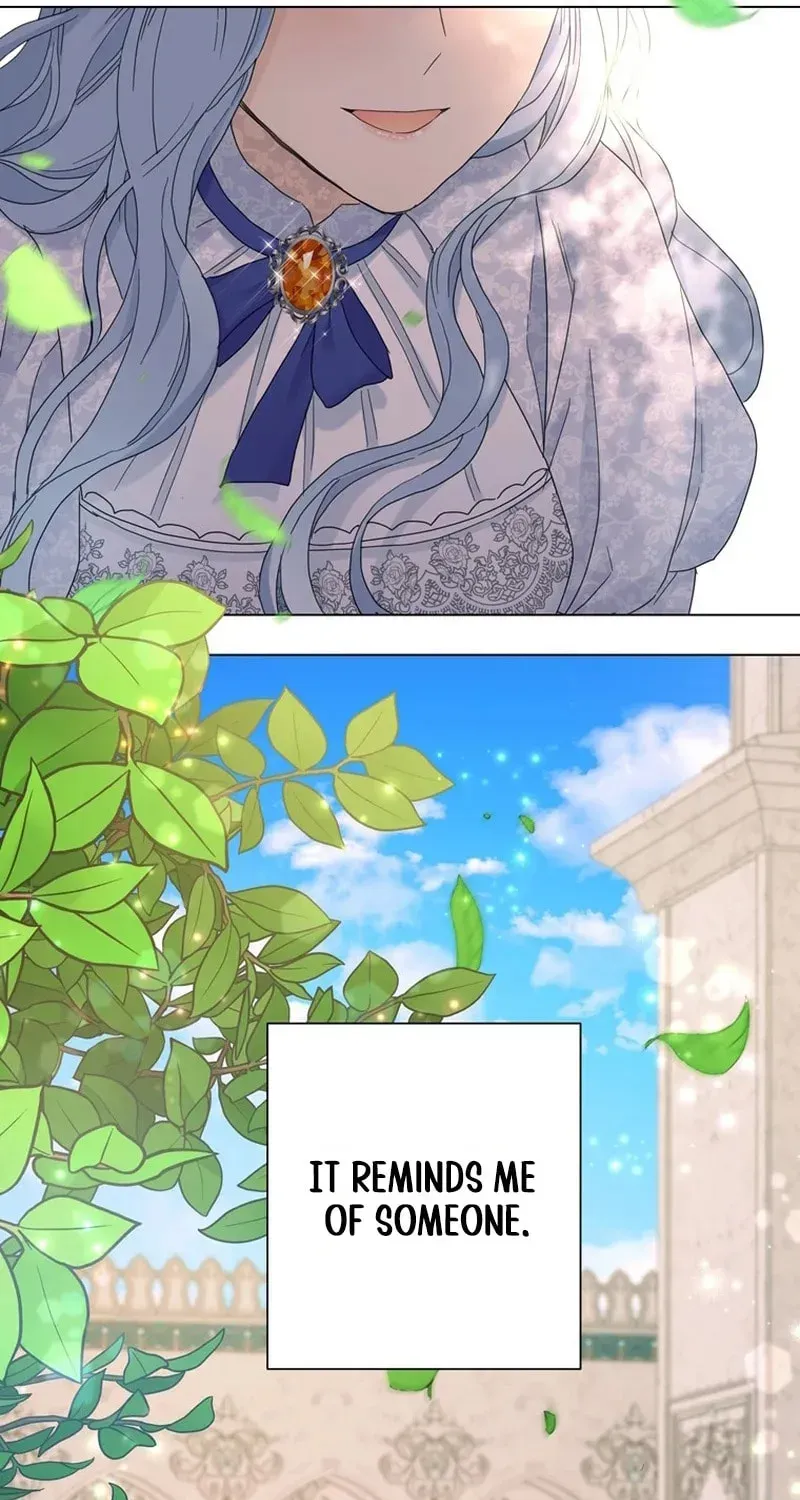 Secret Love Affair Between a Former Saint and a Dark Hero Chapter 18 page 83