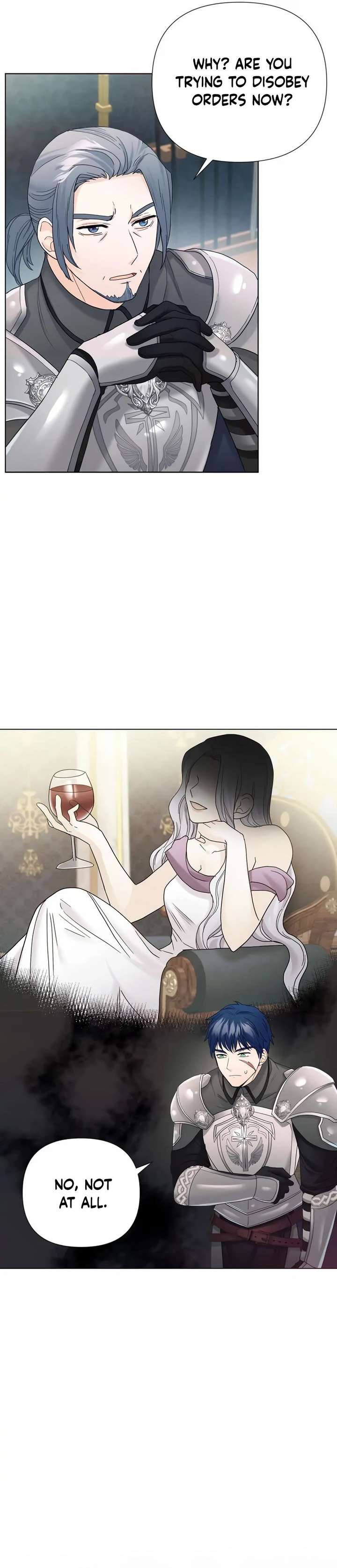 Secret Love Affair Between a Former Saint and a Dark Hero Chapter 5 page 7