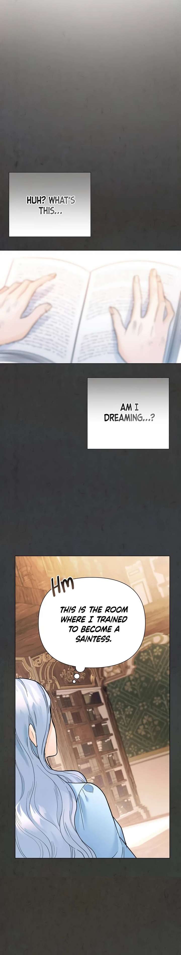 Secret Love Affair Between a Former Saint and a Dark Hero Chapter 5 page 26