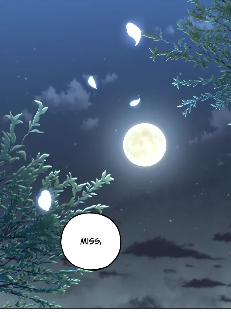 Shadow Moon Chapter 1 page 29