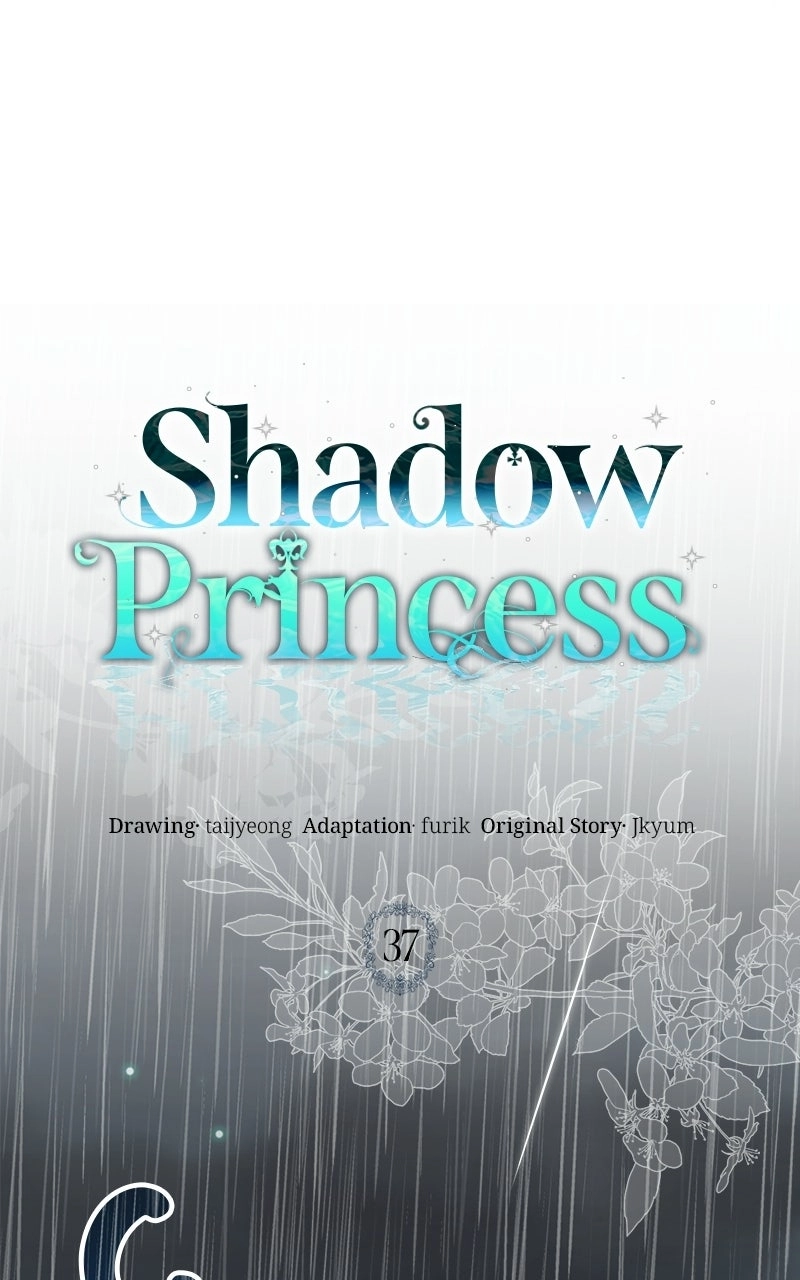 Shadow Princess Chapter 37 page 17