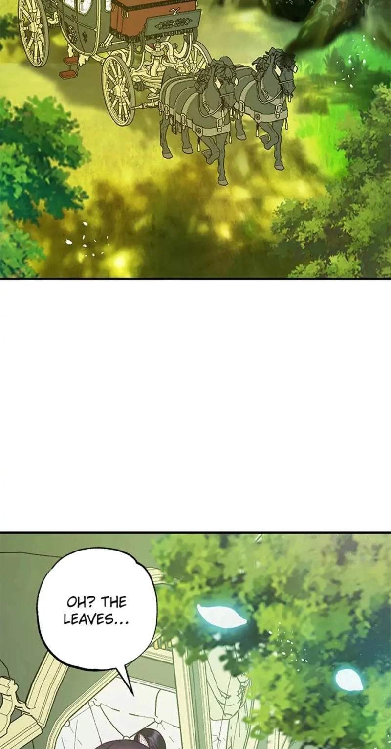 Shoujo wa Isekai de "Satsuriku no Sainou" ni Mezameru Chapter 19 page 3