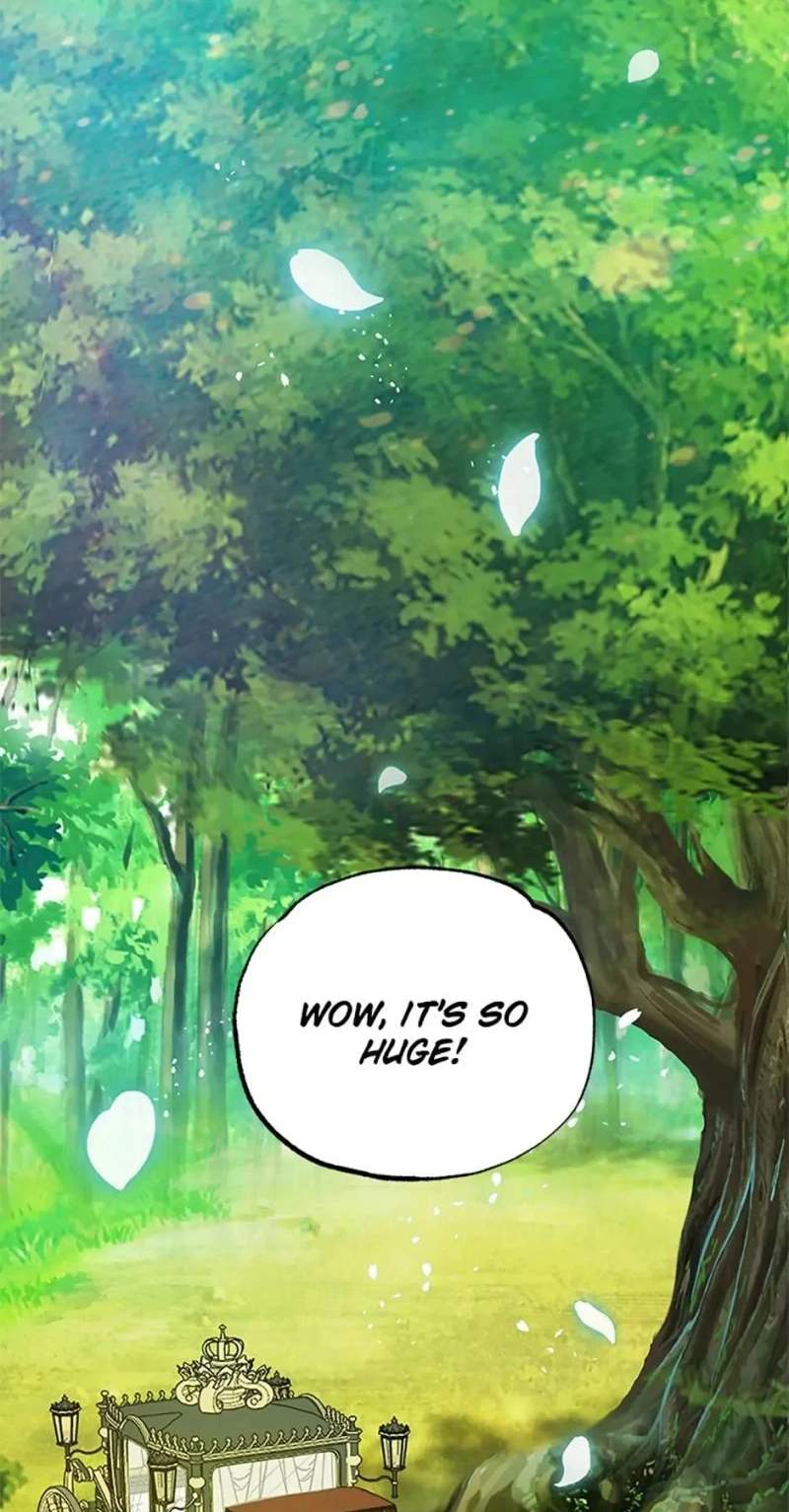 Shoujo wa Isekai de "Satsuriku no Sainou" ni Mezameru Chapter 19 page 2