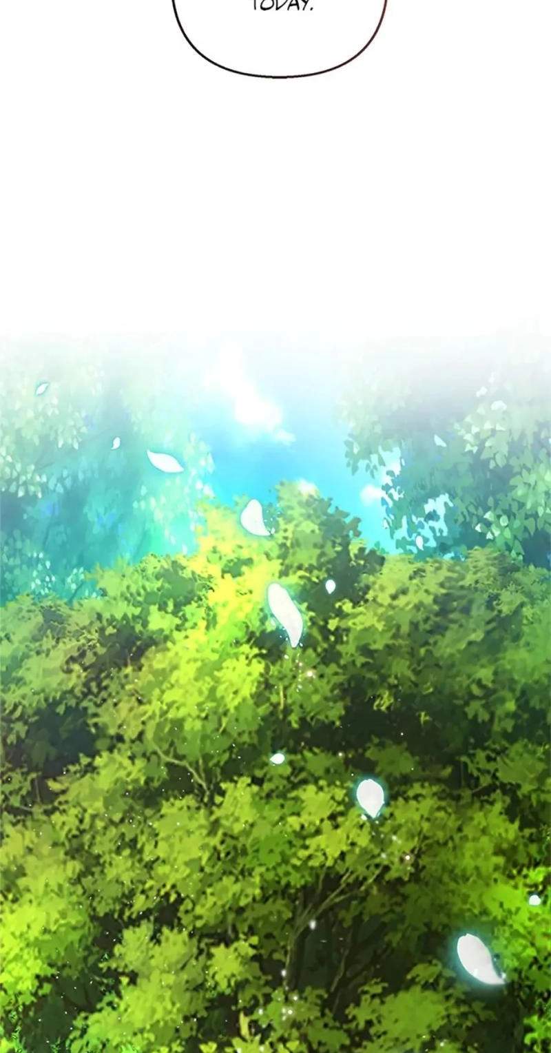 Shoujo wa Isekai de "Satsuriku no Sainou" ni Mezameru Chapter 20 page 62