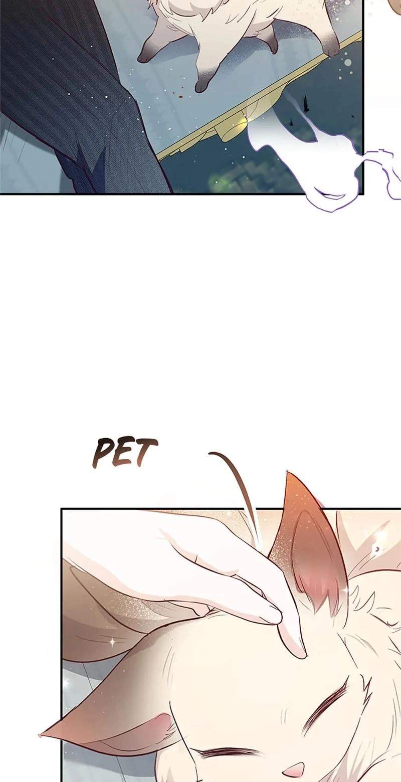 Shoujo wa Isekai de "Satsuriku no Sainou" ni Mezameru Chapter 50 page 63
