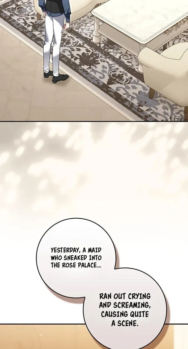 Sister-In-Law of the Heroine in a Childcare Novel Chapter 23 page 3