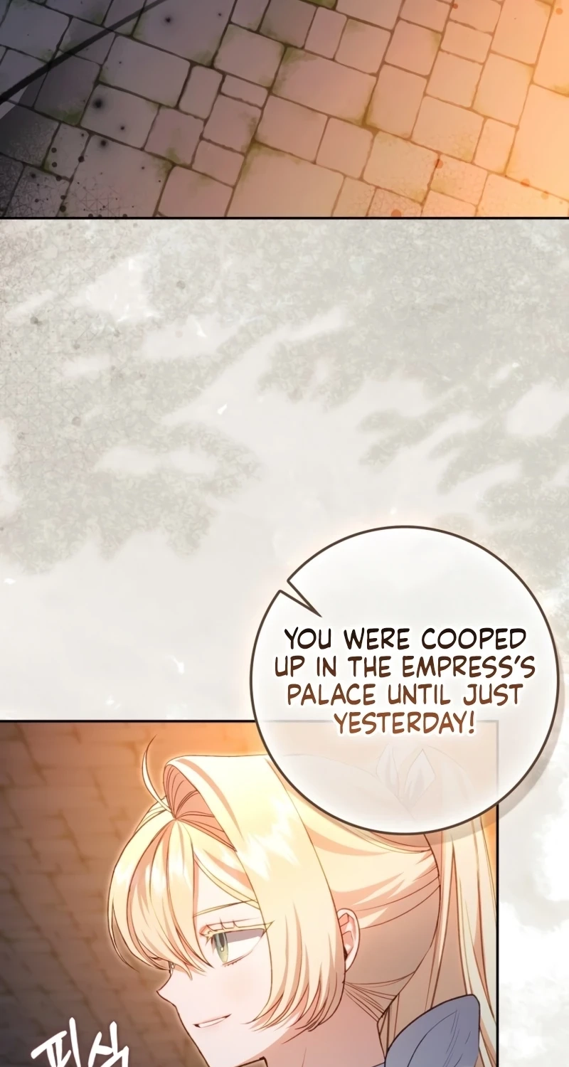 Sister-In-Law of the Heroine in a Childcare Novel Chapter 29 page 3