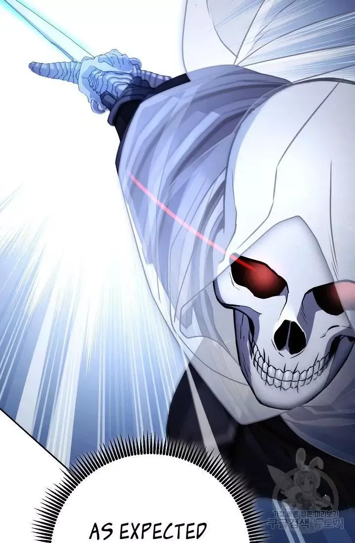 Skeleton Soldier Couldn’T Protect The Dungeon Chapter 233.1 page 49