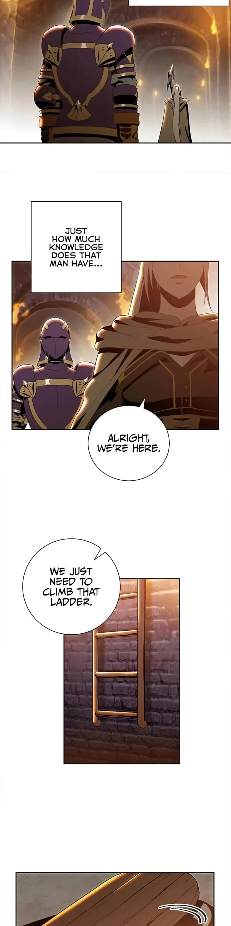 Skeleton Soldier Couldn’T Protect The Dungeon Chapter 79 page 19
