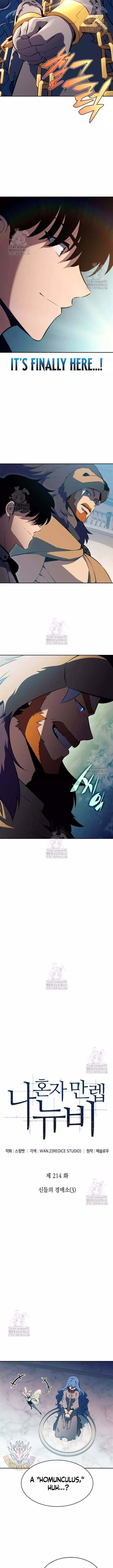 Solo Max-Level Newbie Chapter 214 page 4