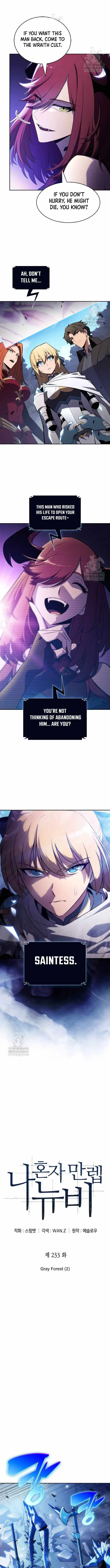 Solo Max-Level Newbie Chapter 233 page 3