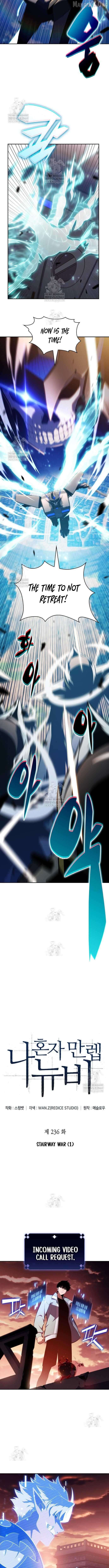 Solo Max-Level Newbie Chapter 236 page 3