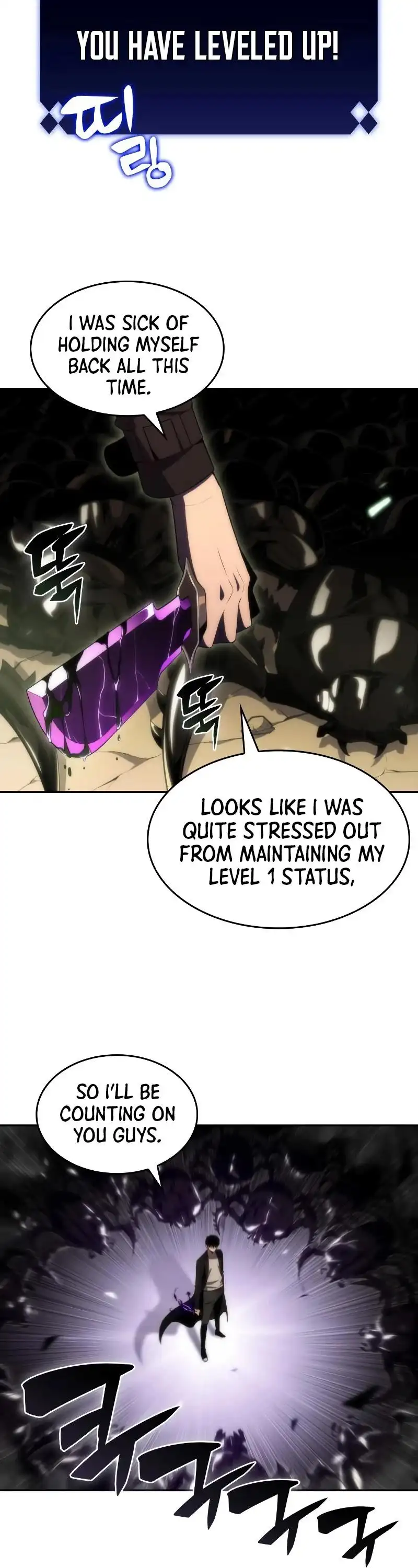 Solo Max-Level Newbie Chapter 27 page 13