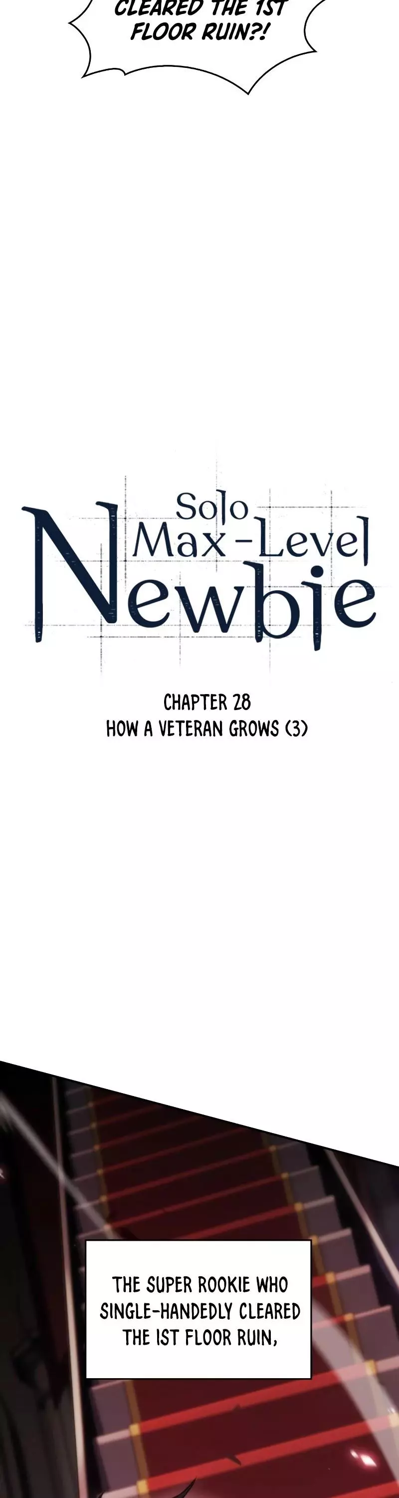 Solo Max-Level Newbie Chapter 28 page 6