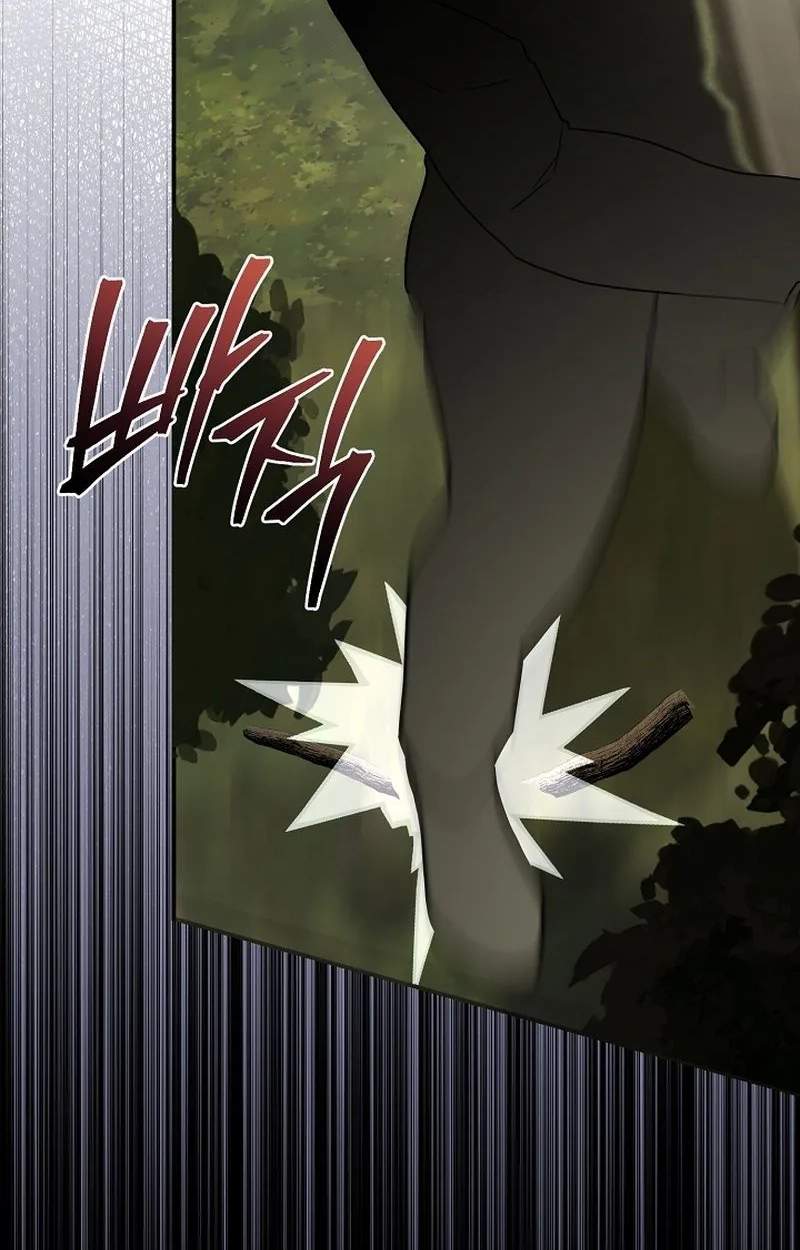 SSS-Class Regressor Has No Conscience Chapter 27 page 88