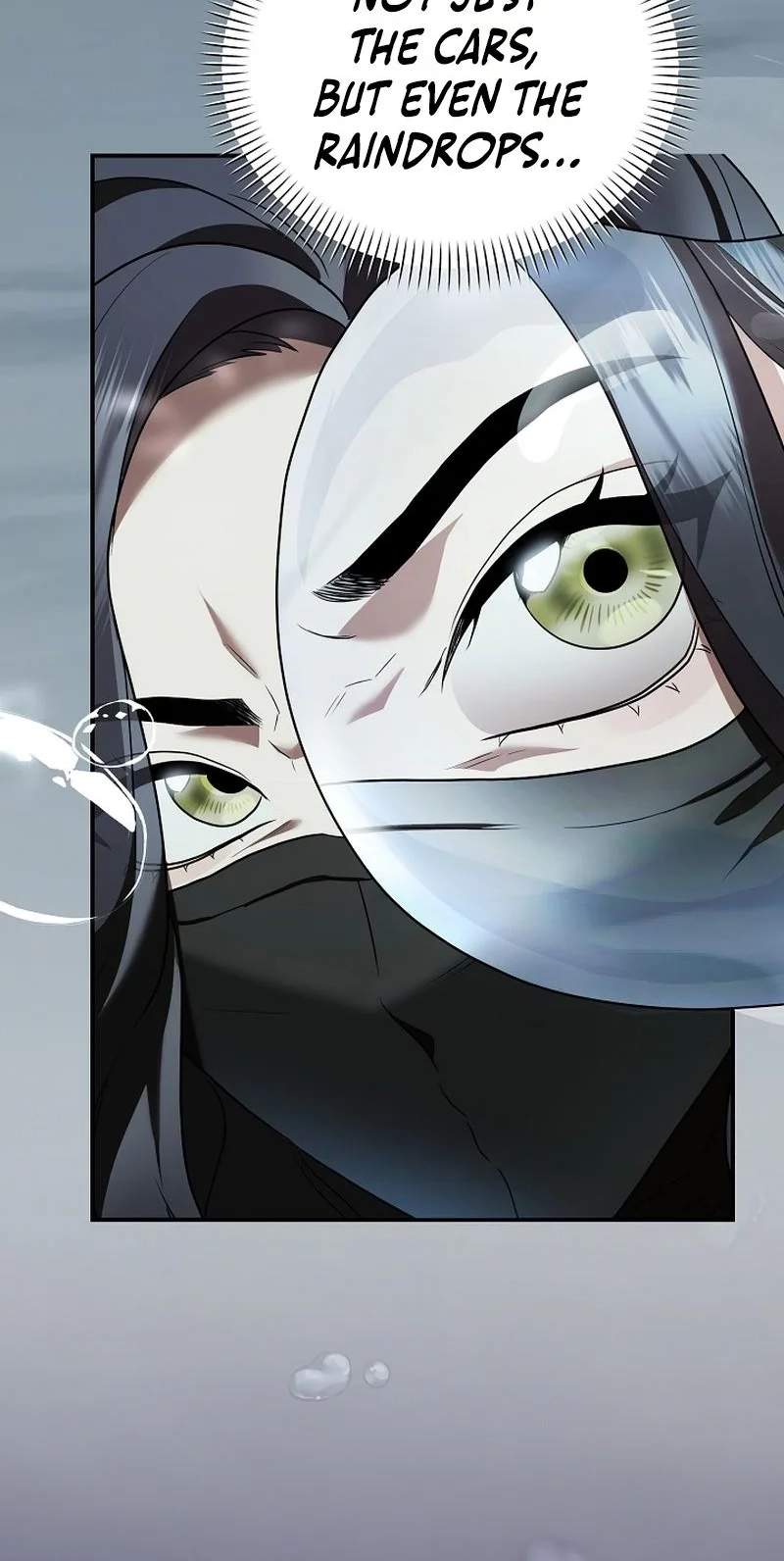 SSS-Class Regressor Has No Conscience Chapter 27 page 21