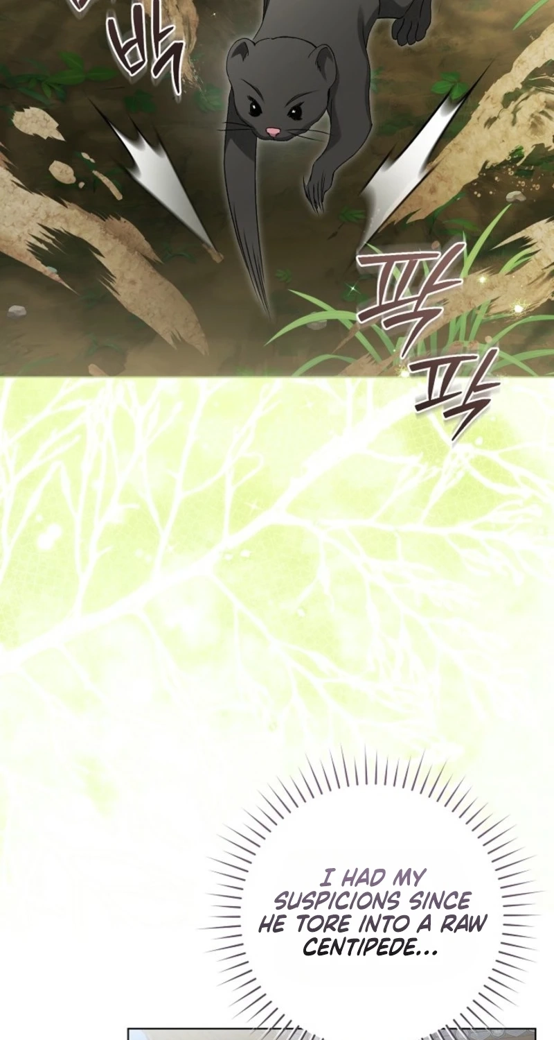 Surviving as a Maid of the Sacheondang Clan Chapter 44 page 31